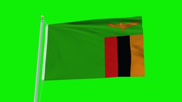 Seamless Loop Animation Zambia Flag Green Screen Background — 비디오