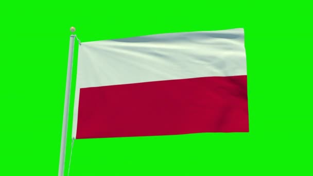 Seamless Loop Animation Poland Flag Green Screen Background — Stockvideo