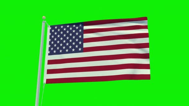 Seamless Loop Animation United States America Flag Green Screen Background — Stockvideo