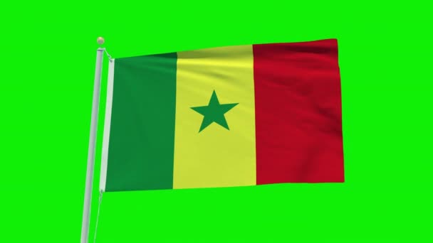 Seamless Loop Animation Senegal Flag Green Screen Background — Vídeo de stock