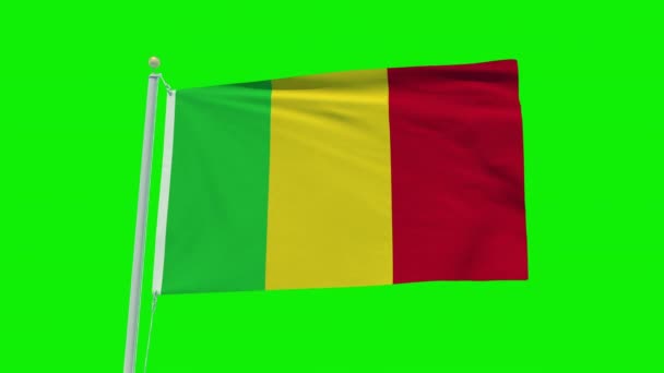 Seamless Loop Animation Mali Flag Green Screen Background — Stok video