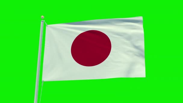 Seamless Loop Animation Japan Flag Green Screen Background — Vídeo de stock
