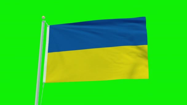 Seamless Loop Animation Ukraine Flag Green Screen Background — 비디오