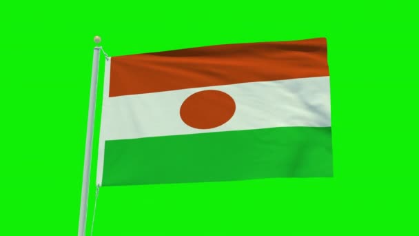 Seamless Loop Animation Niger Flag Green Screen Background — Stock videók