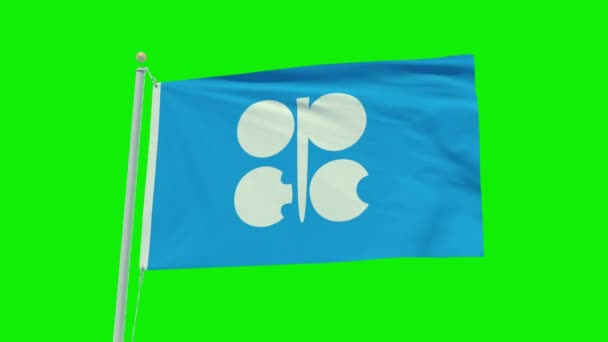 Seamless Loop Animation Opec Flag Green Screen Background — Video