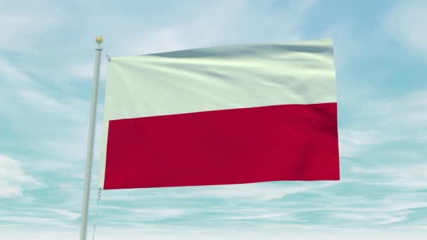 Bezproblemowa Animacja Flagi Polski Tle Błękitnego Nieba — Wideo stockowe