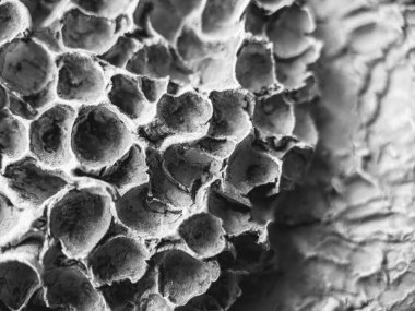 Seramik duvar sanat dokusu siyah beyaz.