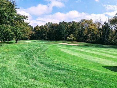 Büyük bir yaprak el ele tutuşur..