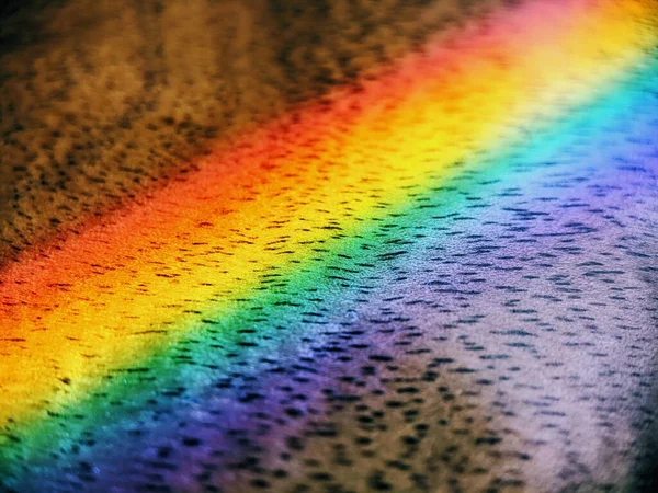 Ahşap zeminde gökkuşağı alçısı