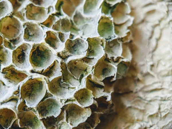 Seramik duvar sanat dokusu yakından.