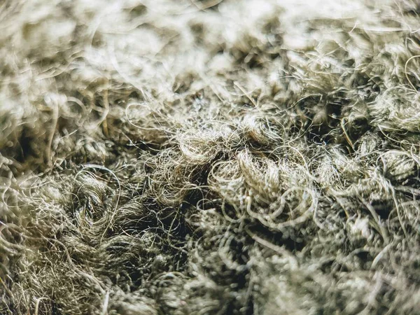 Halı lifleri siyah beyaz görünüyor..