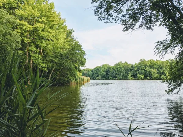 Eyalet parkındaki ağaçların arasından görünen bir göl..