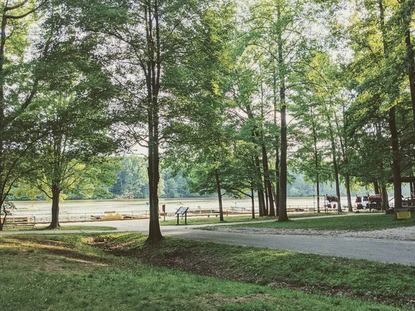 Siyah beyaz bir parktaki ağaçların arasından görünen bir göl..