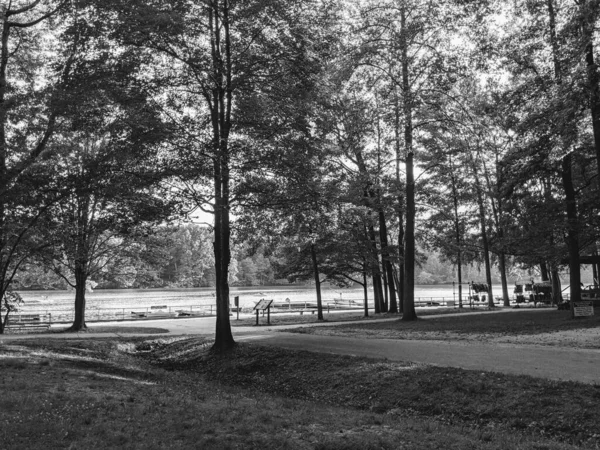 Siyah beyaz bir parktaki ağaçların arasından görünen bir göl..