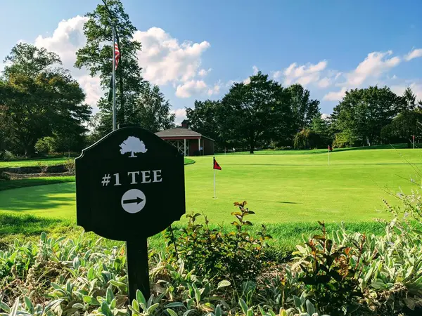 Golf kulübünde yeşil giyme alıştırması yap. İlk golf tabelasıyla birlikte..