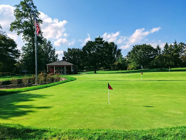 Golf kulübünde yeşile boyama alıştırması yap..