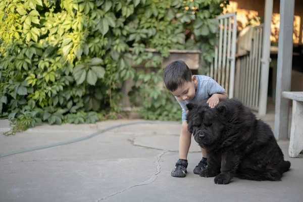 Köpekli küçük bir çocuk.