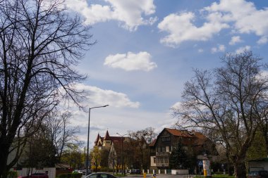 Wroclaw 'da evleri ve ağaçları olan şehir caddesi