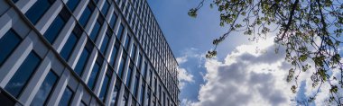 Modern binanın yakınındaki alçak açı ağacı ve Wroclaw 'da arka planda bulutlu gökyüzü, afiş 