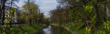 Wroclaw kentsel caddedeki ağaçların yanındaki nehir, bayrak 