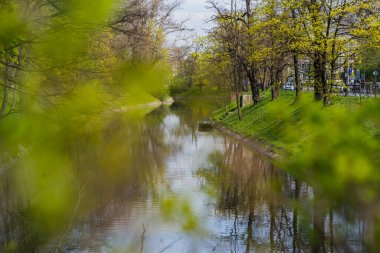 Wroclaw 'da çimenlerin ve ağaçların yanındaki nehir