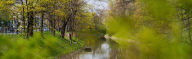 Wroclaw 'da çimenlerin ve ağaçların yanındaki nehir, pankart 