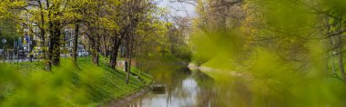 River near grass and trees on street in Wroclaw, banner  clipart