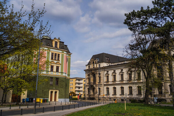 Old buildings and trees on urban street in Wroclaw