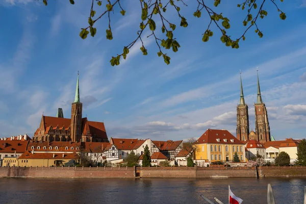 Wroclaw 'daki Aziz John Baptist Katedrali' nin manzarası