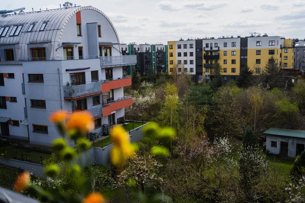 Edifícios e árvores florescendo na rua urbana em Wroclaw — Fotografia de Stock