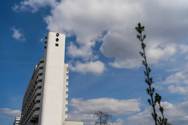 Vista de ángulo bajo de la planta borrosa y el edificio con el cielo al fondo en Wroclaw - foto de stock