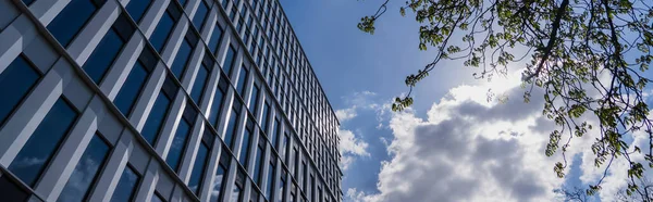 Дерево с низким углом обзора возле современного здания и облачное небо на заднем плане во Вроцлаве, баннер — стоковое фото