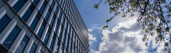 Albero vista basso angolo vicino edificio moderno e cielo nuvoloso sullo sfondo a Breslavia, banner — Foto stock