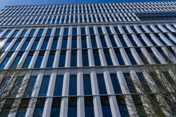 Vue à angle bas des arbres près du bâtiment à Wroclaw — Photo de stock