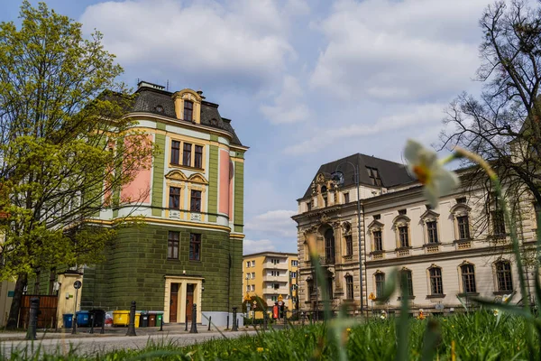 Rue urbaine et fleur floue à Wroclaw — Photo de stock