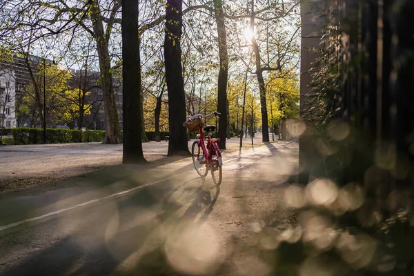 Bicicleta na passarela perto de árvores na rua em Wroclaw — Fotografia de Stock