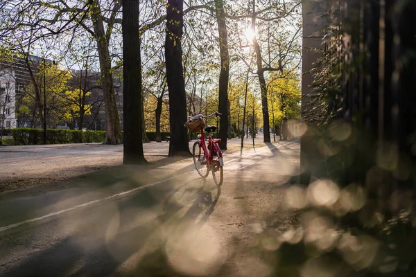 Bicicleta en la pasarela cerca de los árboles en la calle en Wroclaw - foto de stock