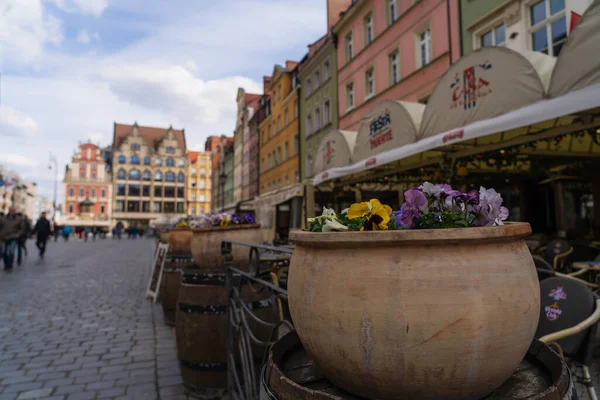 WROCLAW, POLAND - APRIL 18, 2022: Blooming flowers near outdoor cafe on urban street — Stock Photo