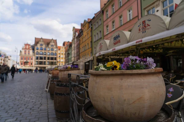 WROCLAW, POLONIA - 18 DE ABRIL DE 2022: Flores florecientes cerca de la cafetería al aire libre en la calle urbana - foto de stock