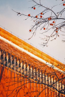 Parkta güzel kırmızı ve beyaz fenerler