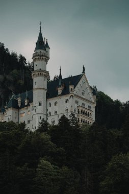 Almanya 'daki Neuschwanstein kalesi