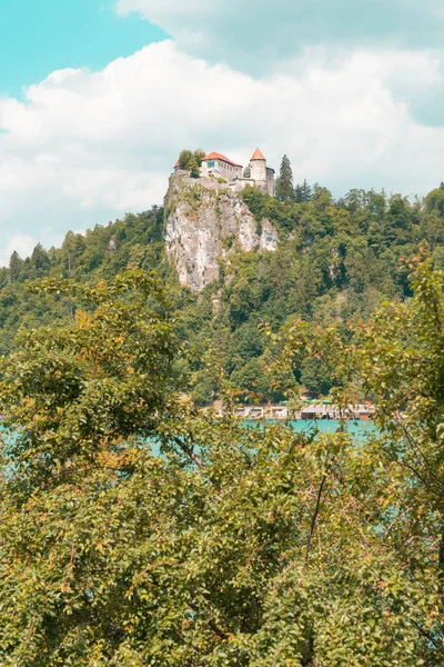 Dağları ve mavi gökyüzü olan güzel bir manzara.