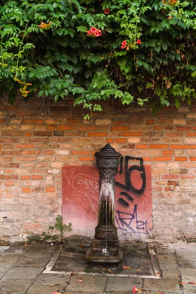 içme suyu Çeşmesi Venedik, İtalya