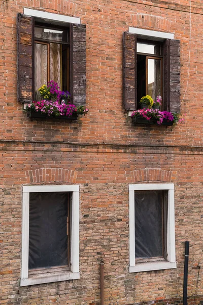 Alte Backsteinfassade Und Fenster Mit Blumen Venedig Italien — Stockfoto