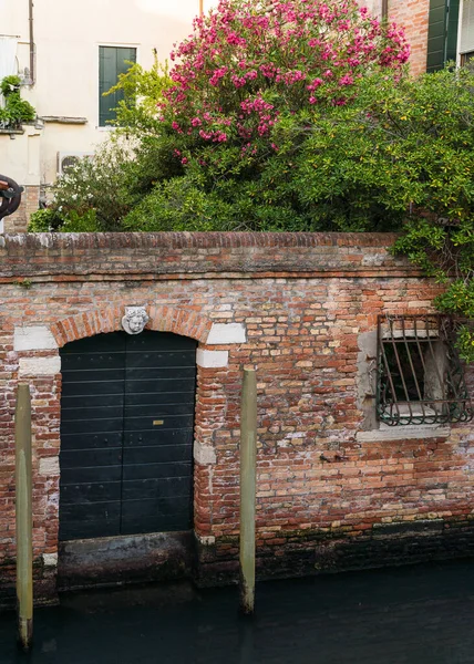 Очаровательный Фасад Зелеными Растениями Нависает Над Венецией Италия — стоковое фото