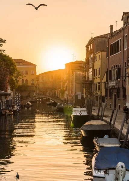 Blick Auf Einen Kanal Venedig Italien Bei Sonnenuntergang Und Vorbeifliegende — Stockfoto