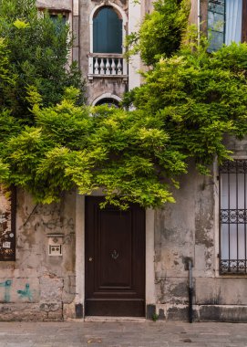 Venedik, İtalya 'da asılı eski bir bina ve yeşil bitkilerin büyüleyici görüntüsü 