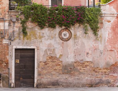 Venedik, İtalya 'da asılı eski bir bina ve yeşil bitkilerin büyüleyici görüntüsü 