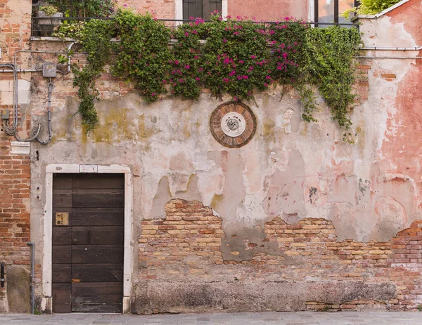 Charming Picturesque Facade Old Building Green Plants Hanging Venice Italy — Stock fotografie