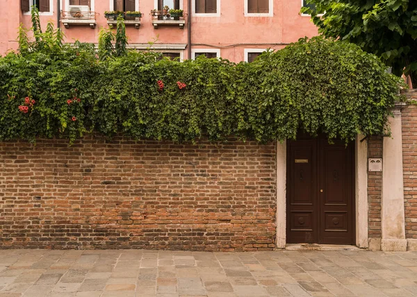 Architectural Detail Old Charming Facade Green Plants Hanging Venice Italy — Stock fotografie